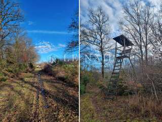 Demeure d'exception 5 pièces