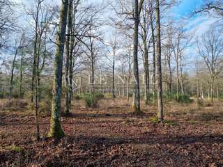 Demeure d'exception 5 pièces