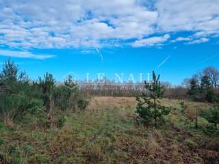 Demeure d'exception 5 pièces