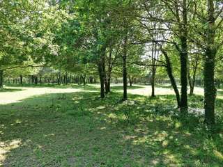 Demeure d'exception 11 pièces