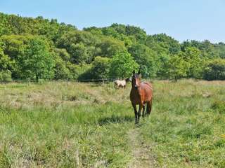 Demeure d'exception 11 pièces