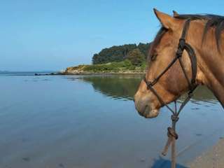 Demeure d'exception 1 pièce