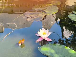 Demeure d'exception 30 pièces