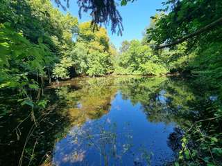 Demeure d'exception 35 pièces