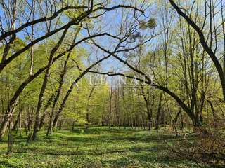 Demeure d'exception 33 pièces