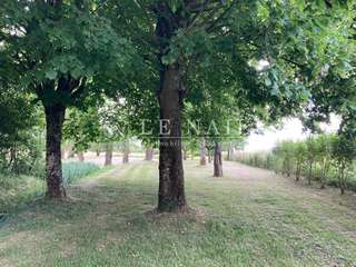 Demeure d'exception 12 pièces