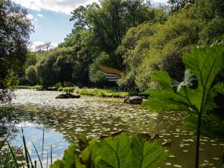 Demeure d'exception 9 pièces