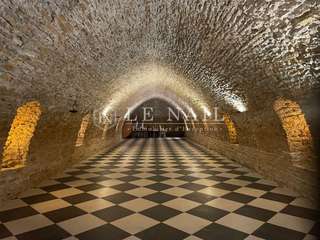 Demeure d'exception 30 pièces