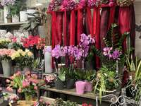 Divers ventes Divers ventes