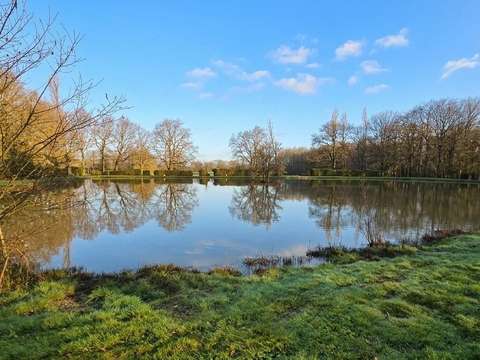 Divers ventes Andrezé 49