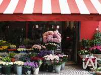 Divers ventes Divers ventes