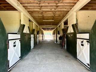 Divers ventes 7 pièces