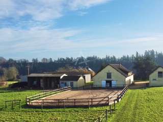 Divers ventes 7 pièces