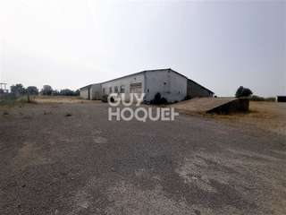 Divers ventes 9 pièces