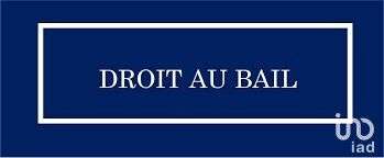 Divers ventes Baguer-Pican 35
