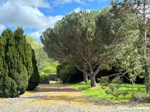 Vente DiversBazougers