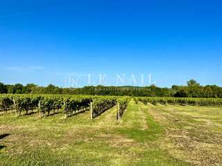 Divers ventes 7 pièces