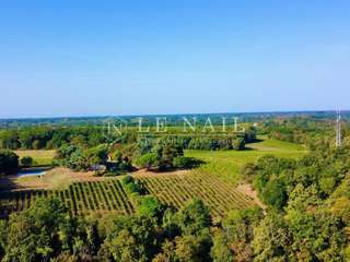 Divers ventes 7 pièces