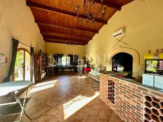 Divers ventes 7 pièces