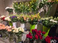 Divers ventes