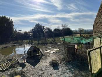 Divers ventes 4 pièces Bourneau 85