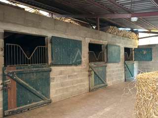 Divers ventes 5 pièces