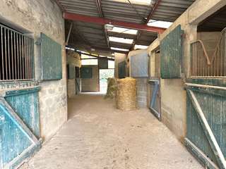 Divers ventes 5 pièces