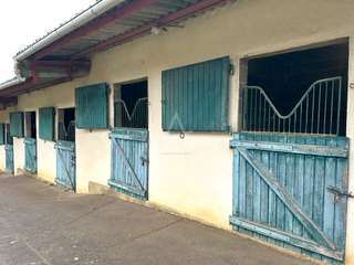 Divers ventes 5 pièces