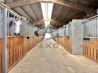 Divers ventes 5 pièces