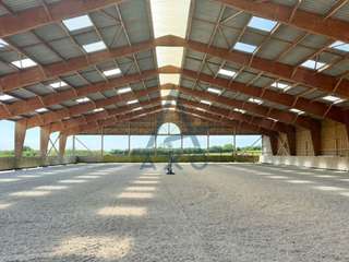 Divers ventes 5 pièces