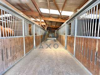 Divers ventes 5 pièces