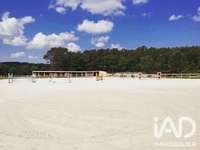 Divers ventes Divers ventes