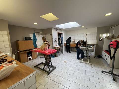 Divers ventes 4 pièces Divers ventes 4 pièces