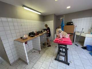 Divers ventes 4 pièces Divers ventes 4 pièces