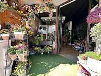 Divers ventes Divers ventes