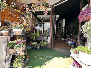 Divers ventes Divers ventes