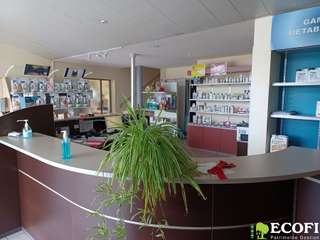 Divers ventes 19 pièces