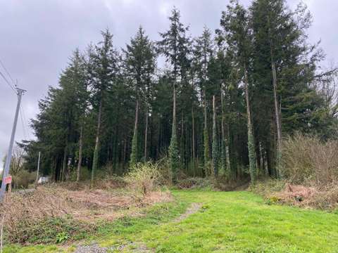 Divers ventes Champ-du-Boult 14