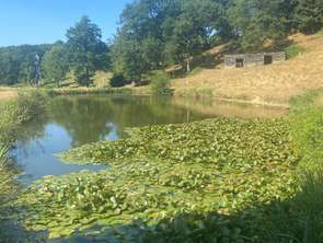 Vente DiversChampeaux