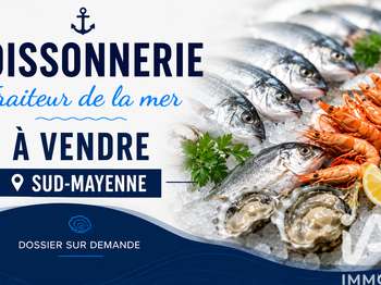 Vente DiversChâteau-Gontier