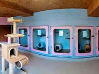 Divers ventes