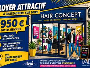 Vente DiversChâteauneuf-sur-Loire
