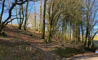 Photo Divers ventes Chaulieu