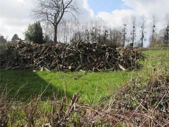 Divers ventes Chérencé-le-Héron 50