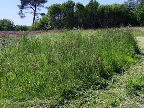 Vente DiversConcarneau