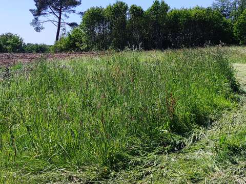 Divers ventes Concarneau 29