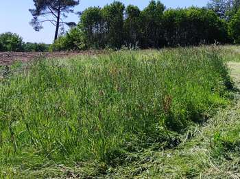 Vente DiversConcarneau