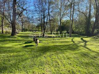 Divers ventes 15 pièces