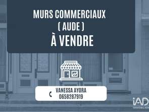 Vente DiversCuxac-d'Aude