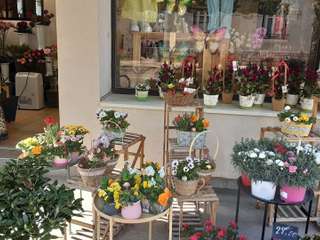 Divers ventes
